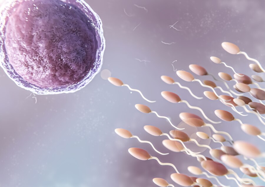 ¿Quién puede beneficiarse de la fecundación in vitro?